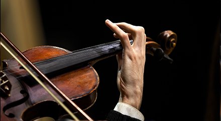 弦楽器部門の写真